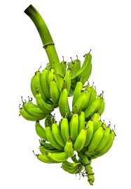 Bunch of bananas