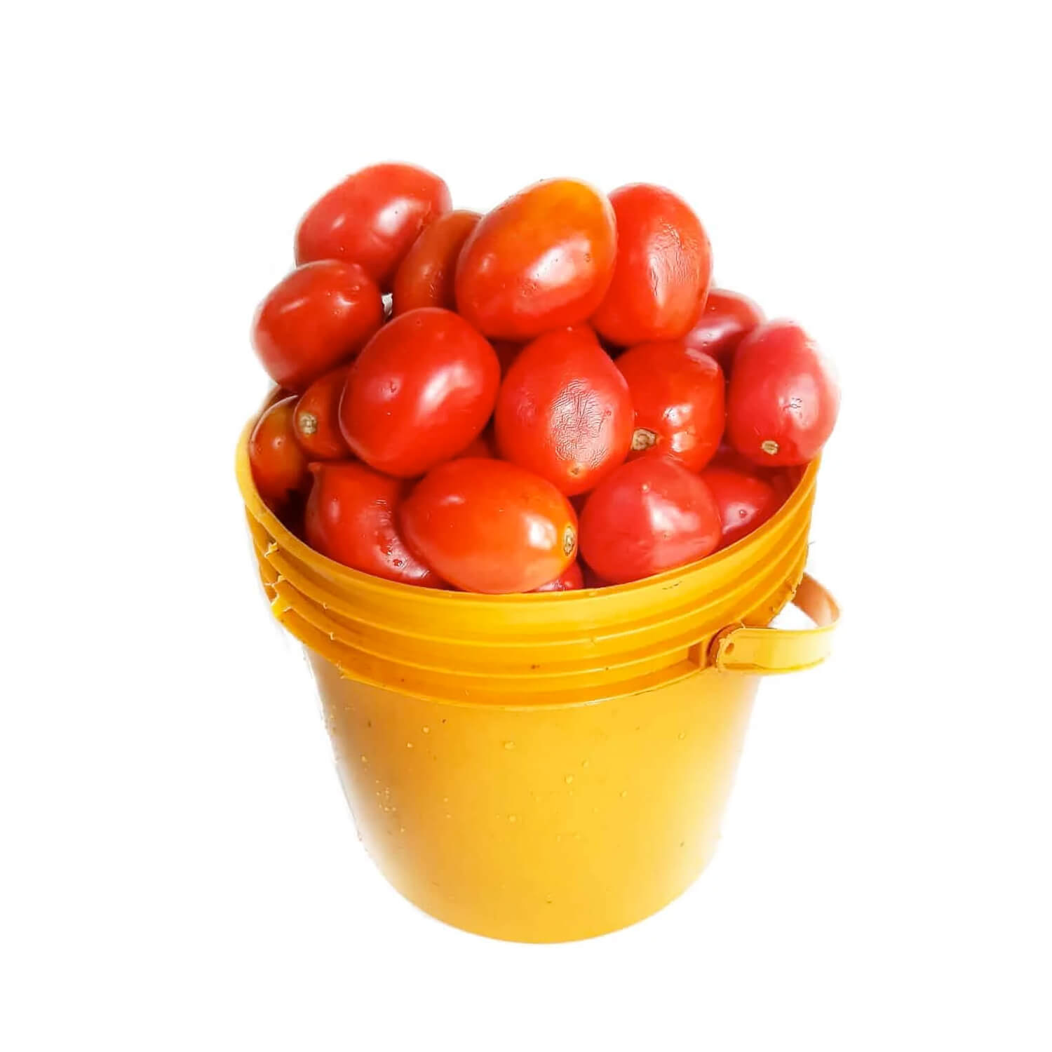 Fresh Tomatoes – Half, Full Bucket