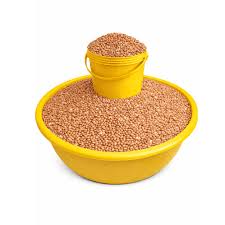 bucket of Beans