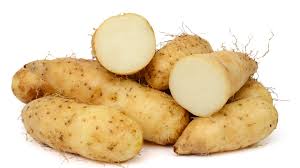 Water Yam