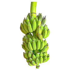Bunch of bananas
