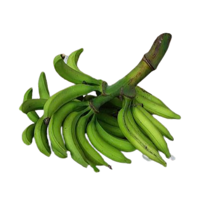 Plantain Whole bunch